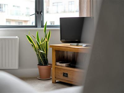 Picture 7